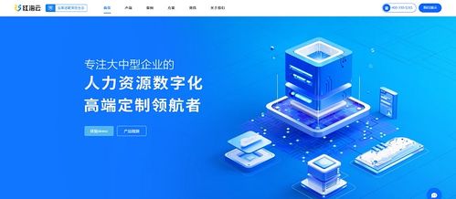 控成本 重激勵 多業態企業如何做hr saas選型