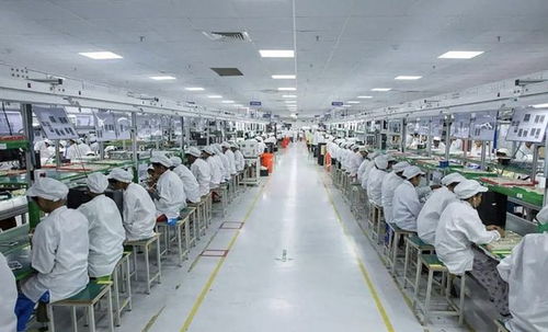 啼笑皆非,印度制造中的制造指的是組裝