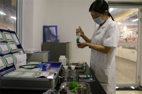 精誠致遠檢測技術服務 圖 農殘檢測報告 博羅檢測報告