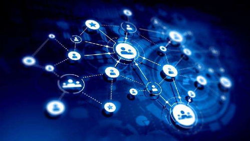 攜手共贏 種植戶與水溶肥生產廠家技術合作的新趨勢