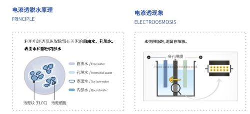 新環環保 污泥處置先進技術服務引領者